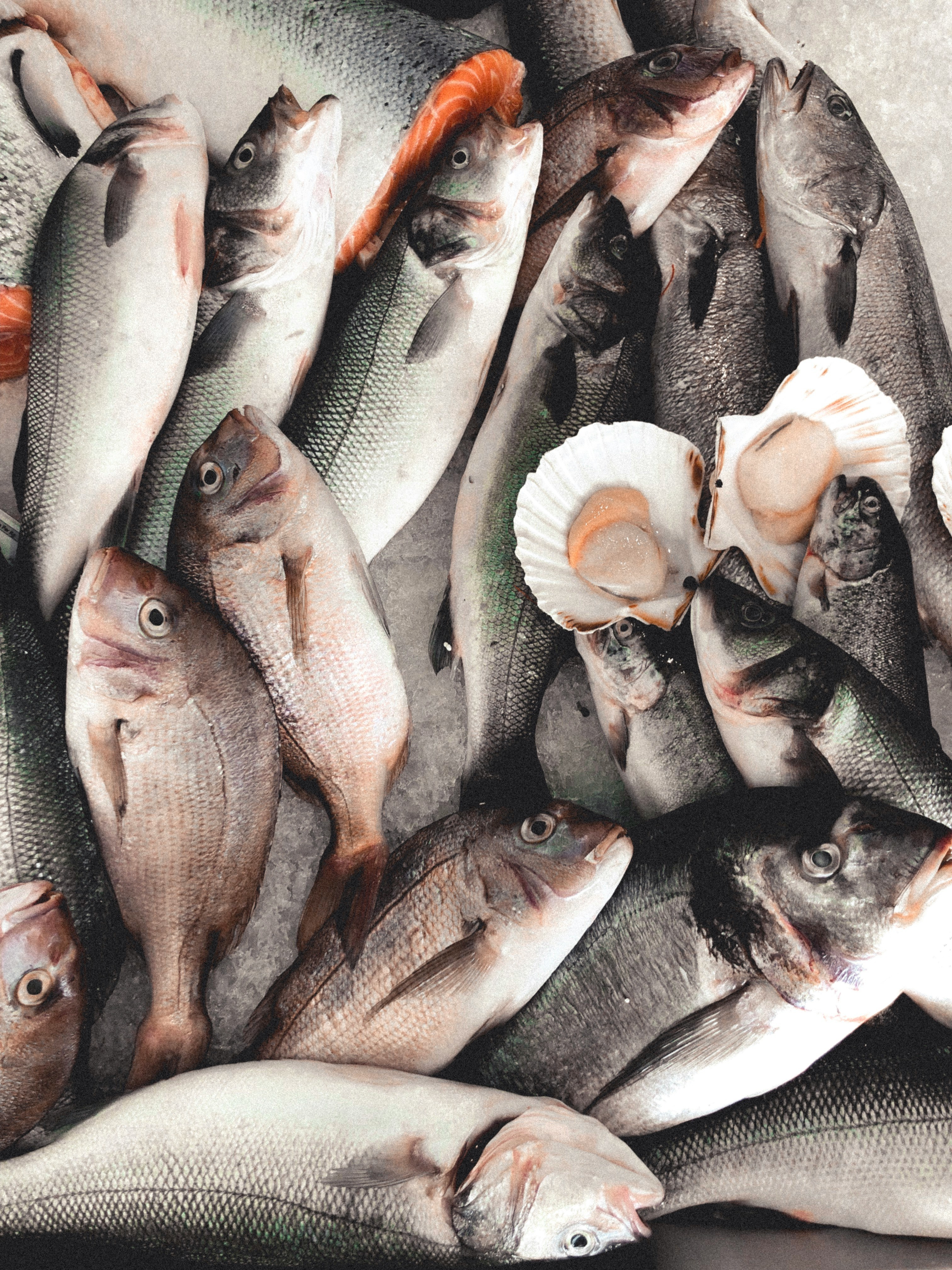 Whole Fish